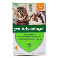 Advantage by Elanco - Advantage antiparasitic drops from fleas for cats and rabbits (1 pipette)
