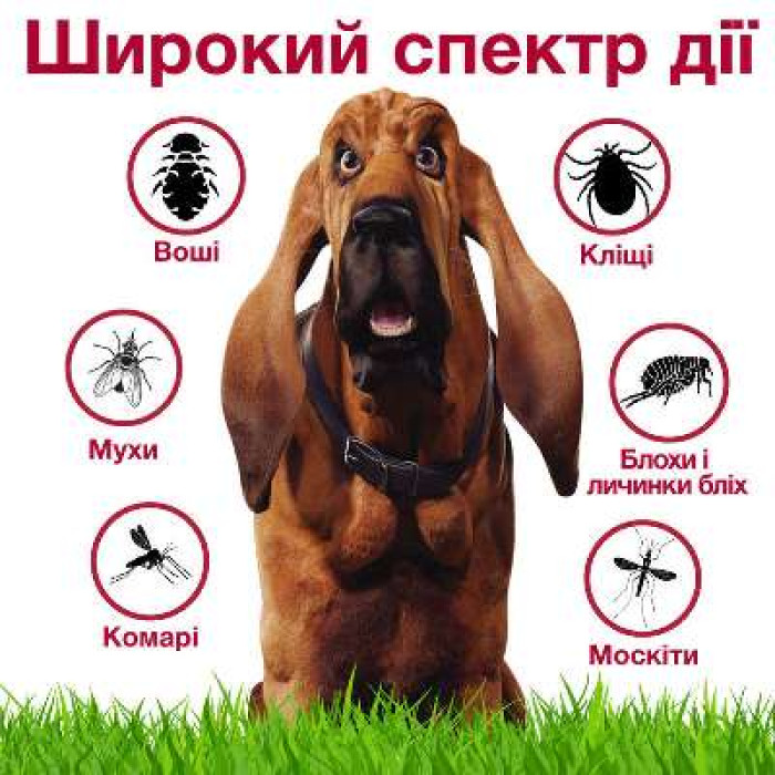 Advantix (Адвантикс) by Elanco - Капли от блох и клещей для собак (1 пипетка)