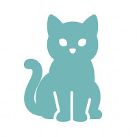 Котики