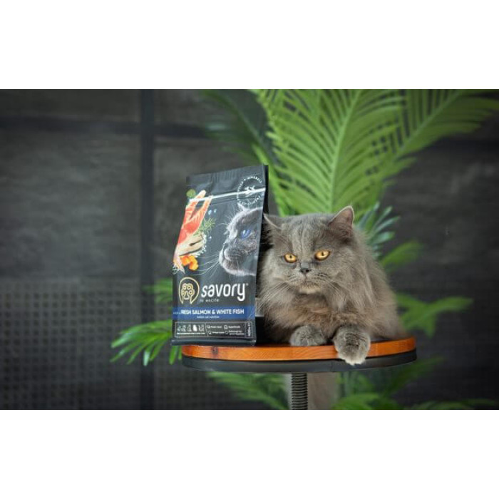 Savory Adult Cat Gourmand Fresh Salmon and White Fish for adult cats with fresh salmon and white fish
