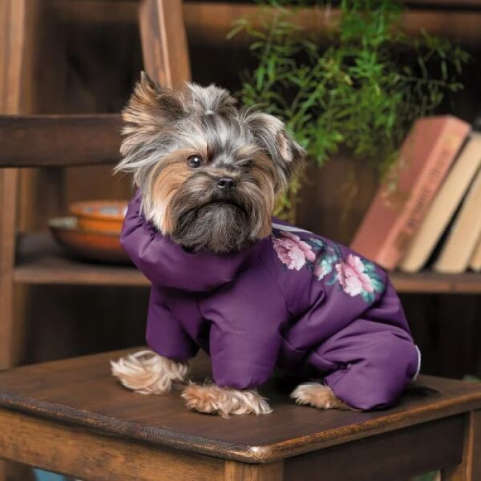 Костюм для собак дівчинок Pet Fashion «Lola» S2