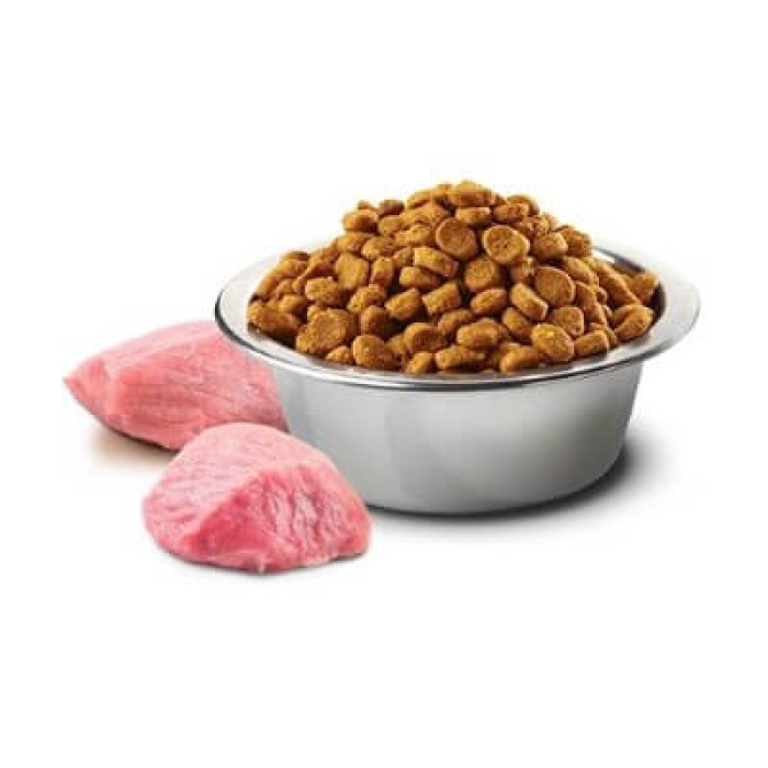 Farmina Pumpkin GF Dog Lamb Blueberry Adult Mini Беззерновой сухий корм з ягням, гарбузом та чорницею для дорослих собак дрібних порід