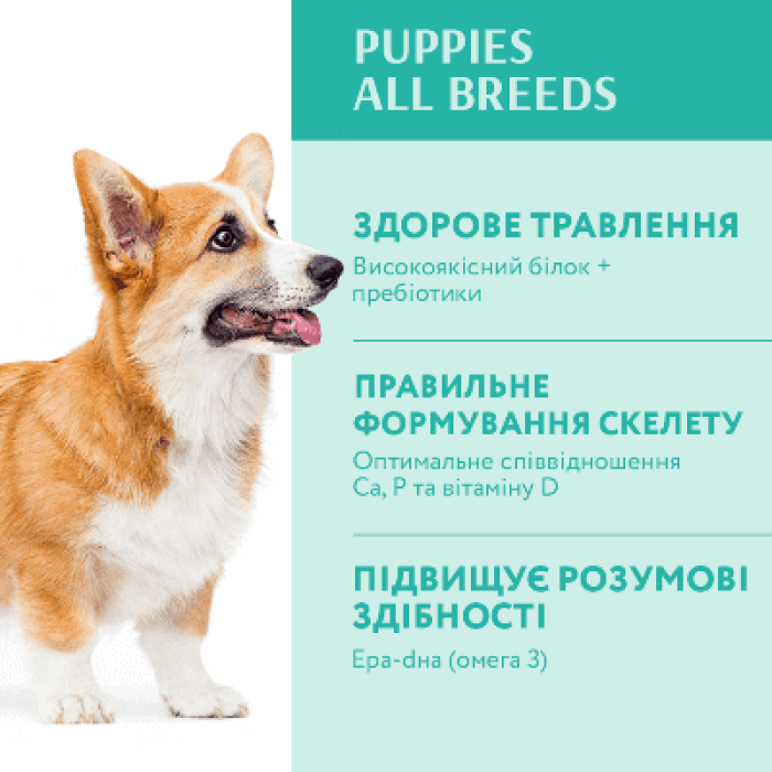 Purina Pro Plan Adult Medium with Chicken – сухой корм для взрослых собак средних пород с курицей
