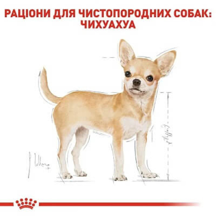 Вологий корм для собак Royal Canin Chihuahua Adult pouch 85 г