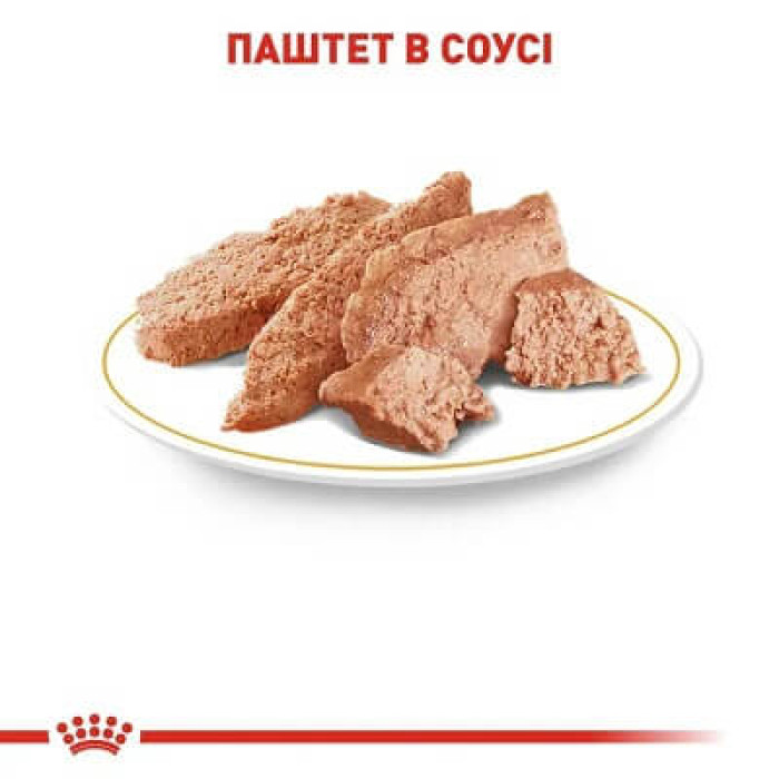 Вологий корм для собак Royal Canin Chihuahua Adult pouch 85 г