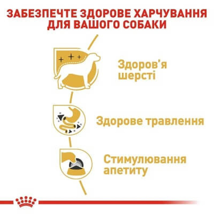 Вологий корм для собак Royal Canin Chihuahua Adult pouch 85 г