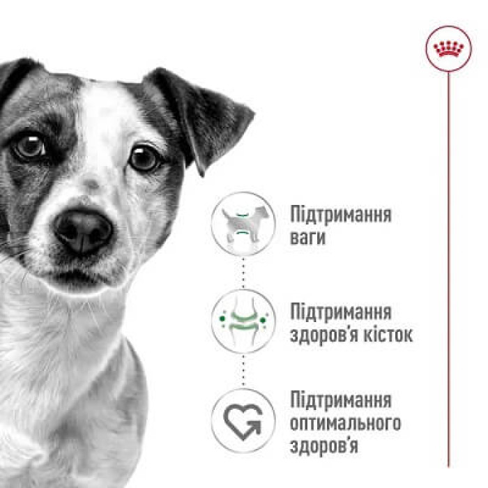 Сухий корм для собак Royal Canin Mini Adult