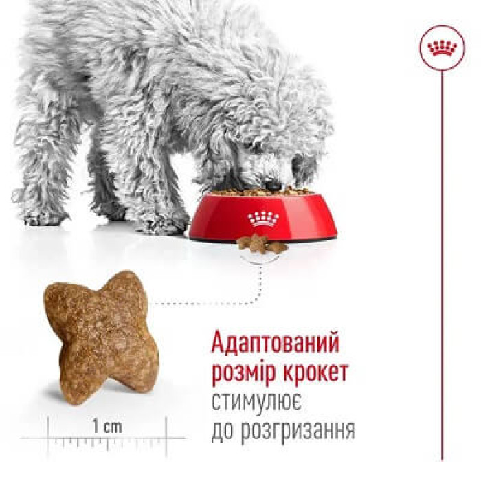 Сухий корм для собак Royal Canin Mini Adult