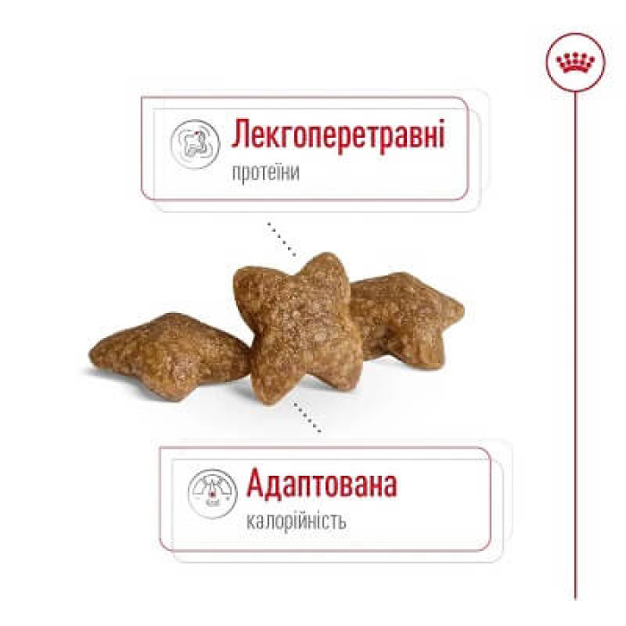 Сухий корм для собак Royal Canin Mini Adult