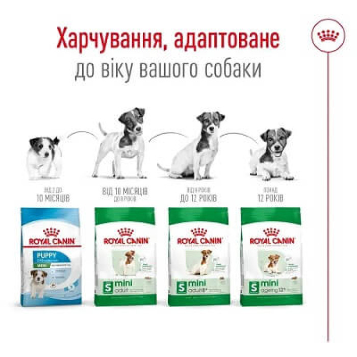 Сухий корм для собак Royal Canin Mini Adult