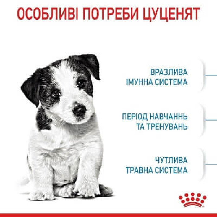 Сухий корм для цуценят Royal Canin Mini Puppy