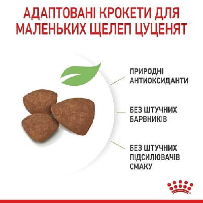 Сухий корм для цуценят Royal Canin Mini Puppy