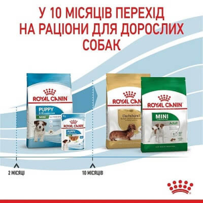 Сухий корм для цуценят Royal Canin Mini Puppy