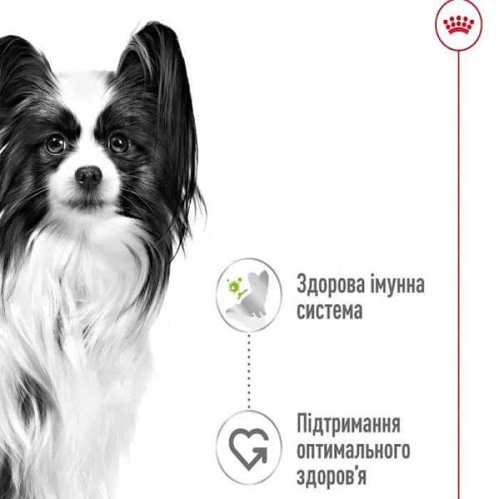 Вологий корм для собак Royal Canin X-Small Adult pouch 85 г