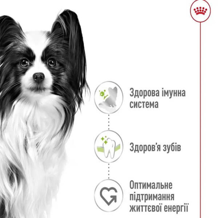 Сухий корм для собак Royal Canin X-Small Adult