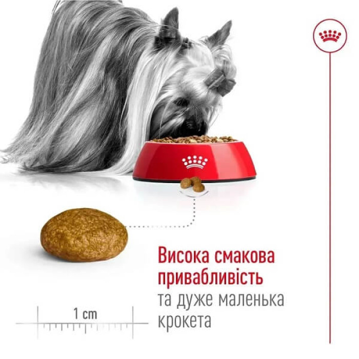 Сухий корм для собак Royal Canin X-Small Adult