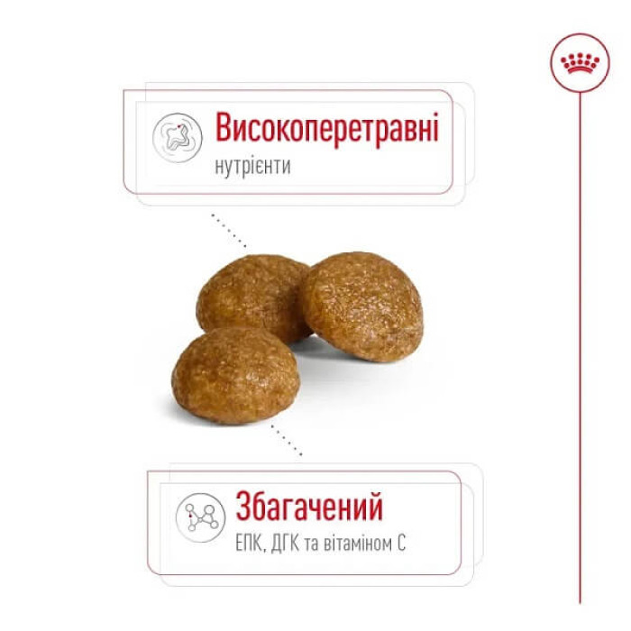 Сухий корм для собак Royal Canin X-Small Adult