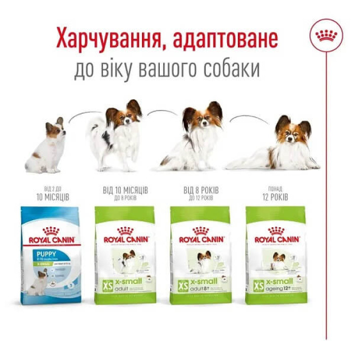 Сухий корм для собак Royal Canin X-Small Adult