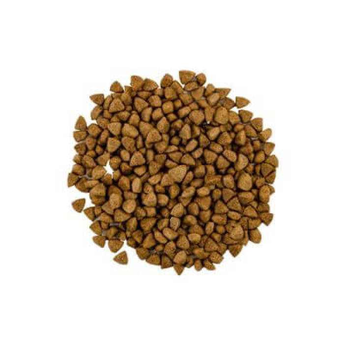 Savory Adult Cat Steril Fresh Lamb and Chicken dry food for sterilized cats with lamb and chicken