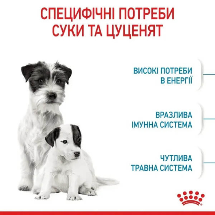 Сухой корм для щенков Royal Canin Mini Starter
