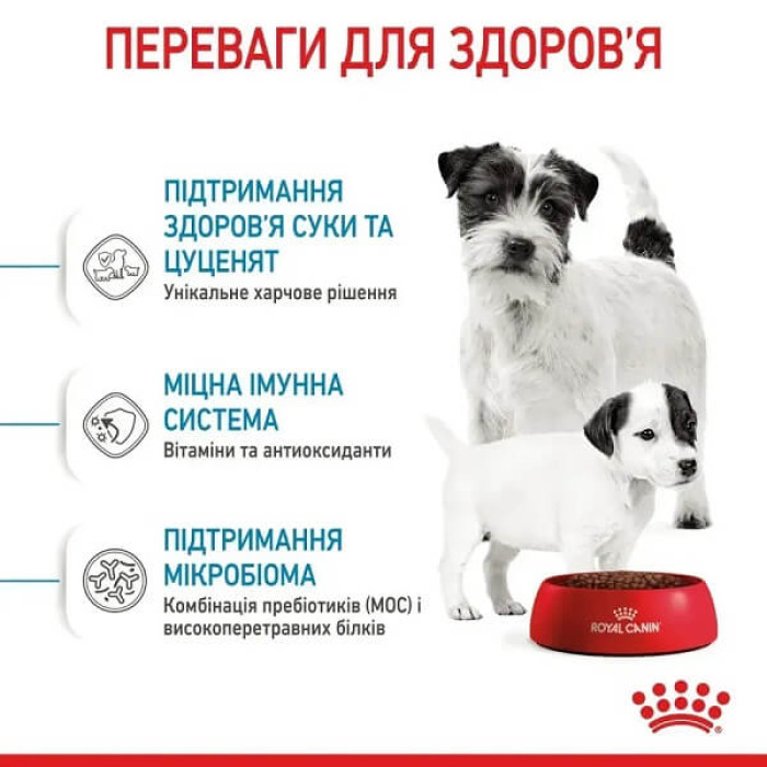 Сухой корм для щенков Royal Canin Mini Starter