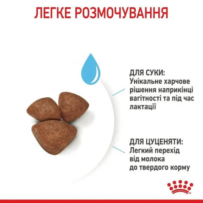 Сухой корм для щенков Royal Canin Mini Starter