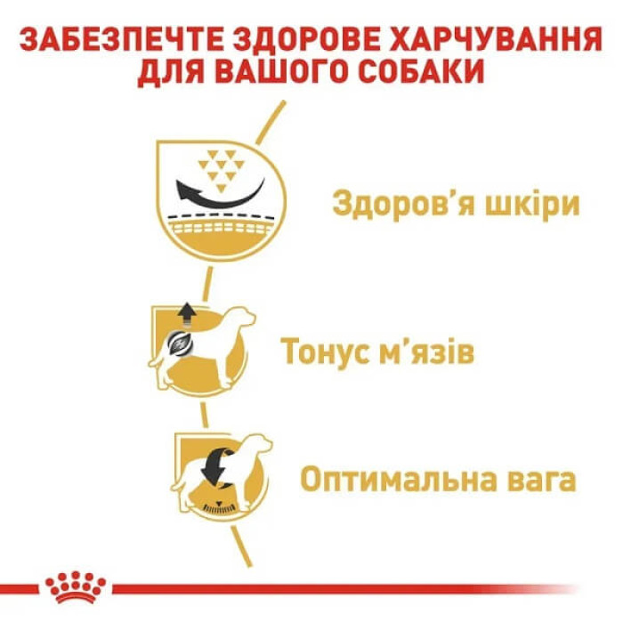 Dry dog ​​food Royal Canin Pug Adult