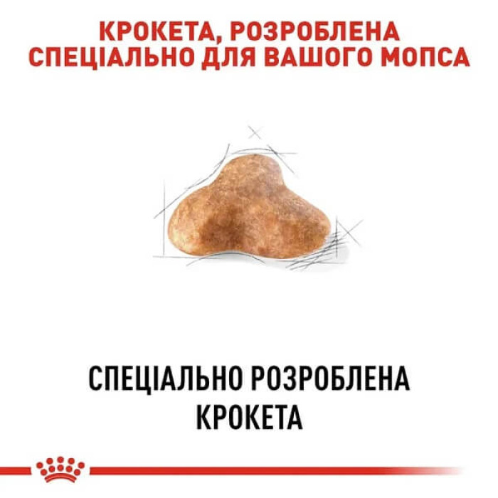 Dry dog ​​food Royal Canin Pug Adult
