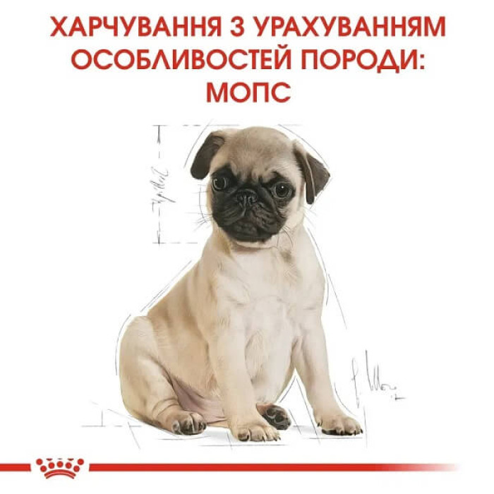 Сухой корм для щенков Royal Canin Pug Puppy