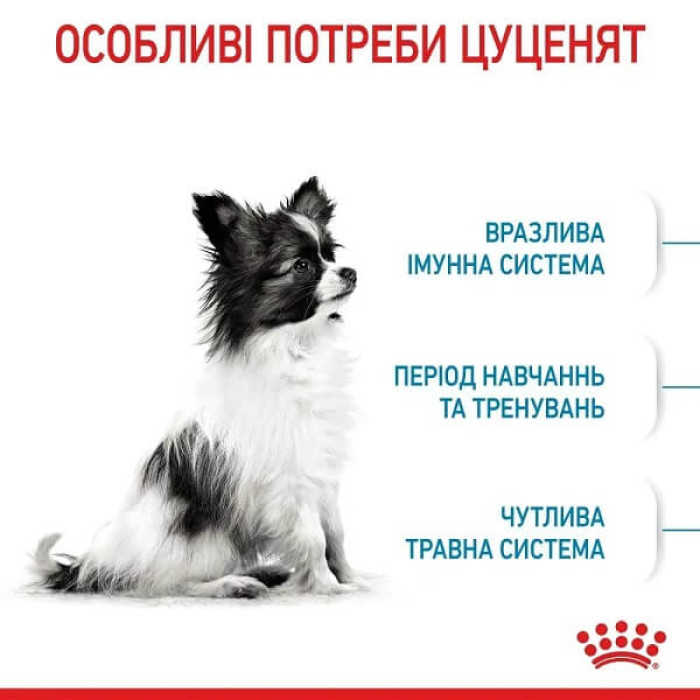 Сухой корм для щенков Royal Canin X-Small Puppy