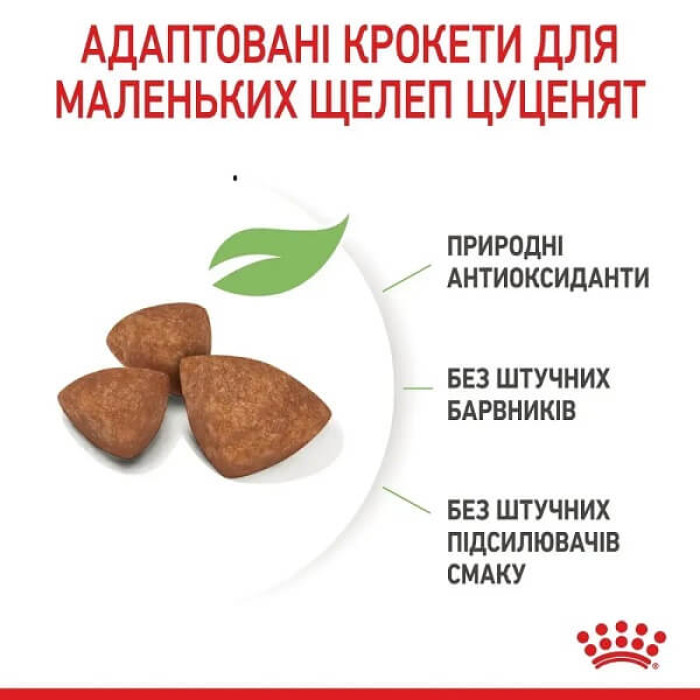 Сухой корм для щенков Royal Canin X-Small Puppy
